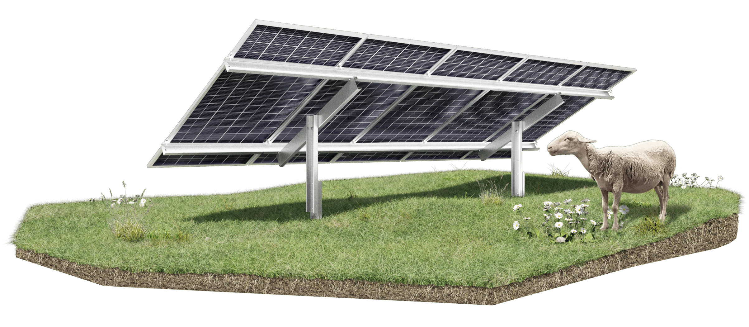Panel solar fotovoltaico en campo verde con oveja pastando, ejemplo de energía renovable y sostenibilidad agrícola