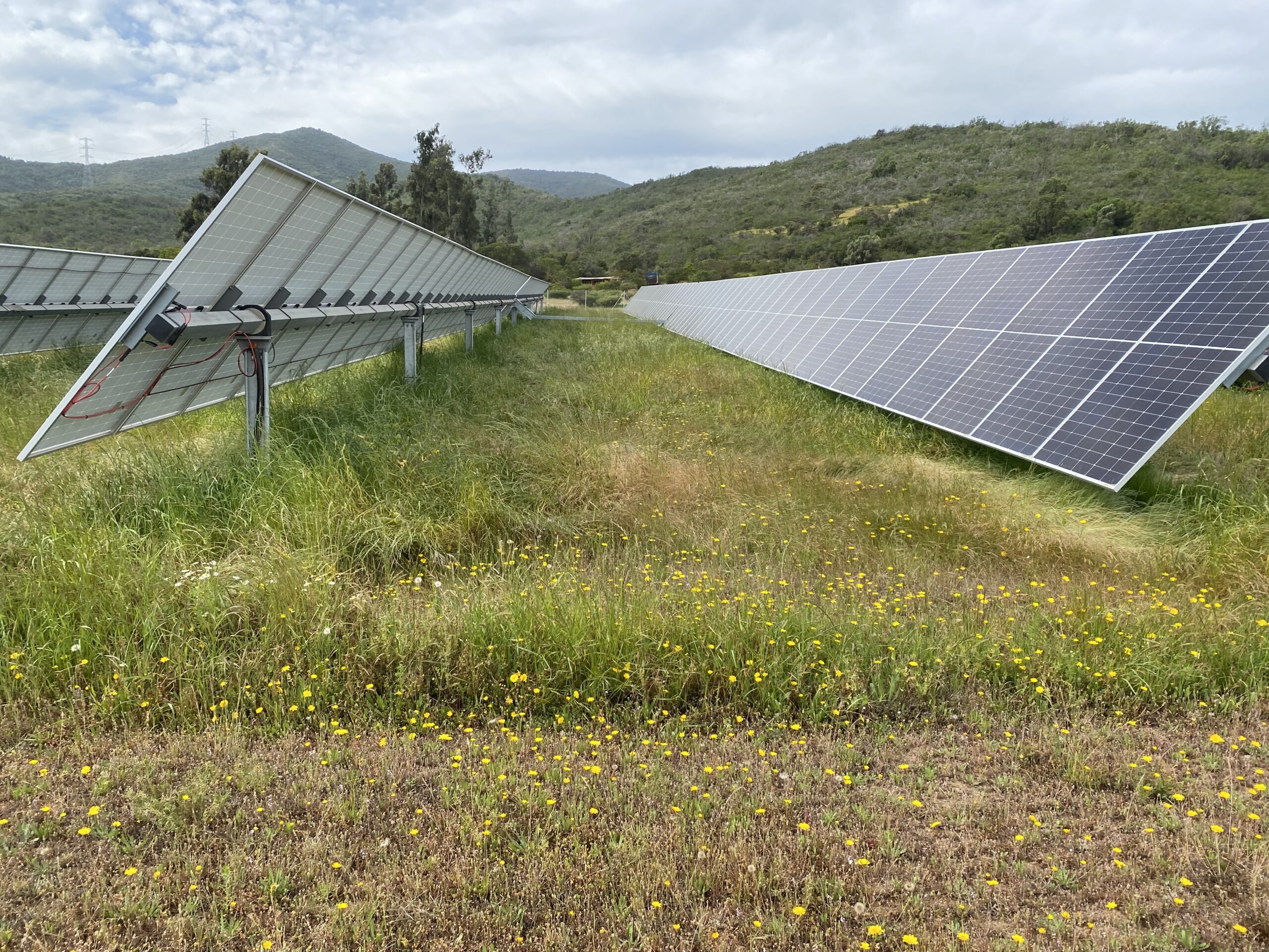 Paneles solares fotovoltaicos instalados en campo abierto con vegetación y montañas al fondo