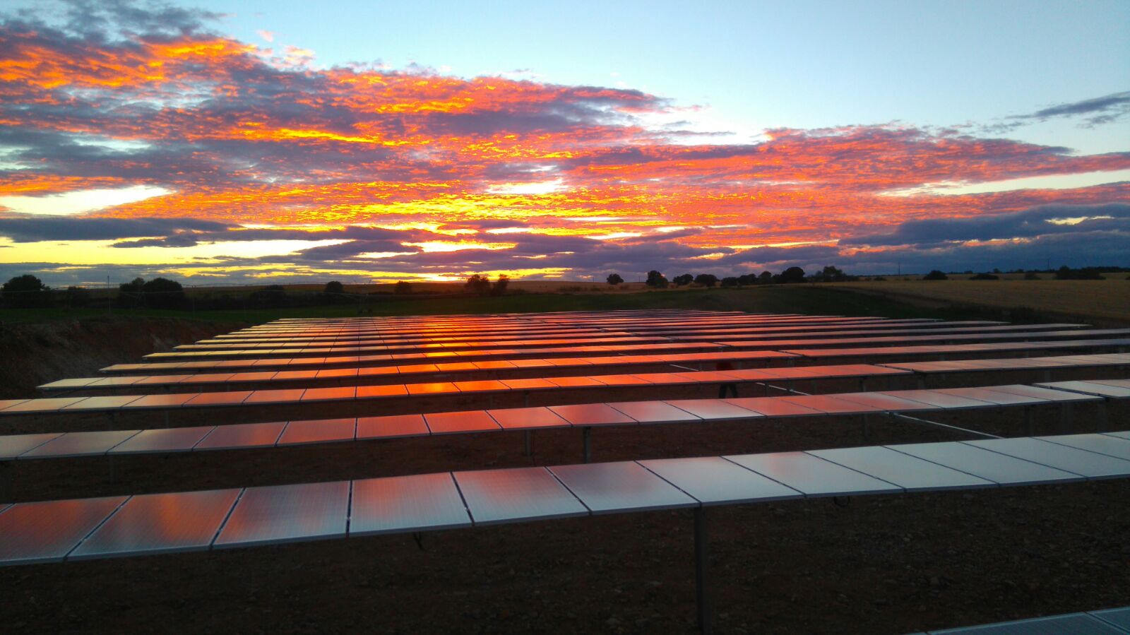 Campo solar con paneles fotovoltaicos reflejando el atardecer en el horizonte
