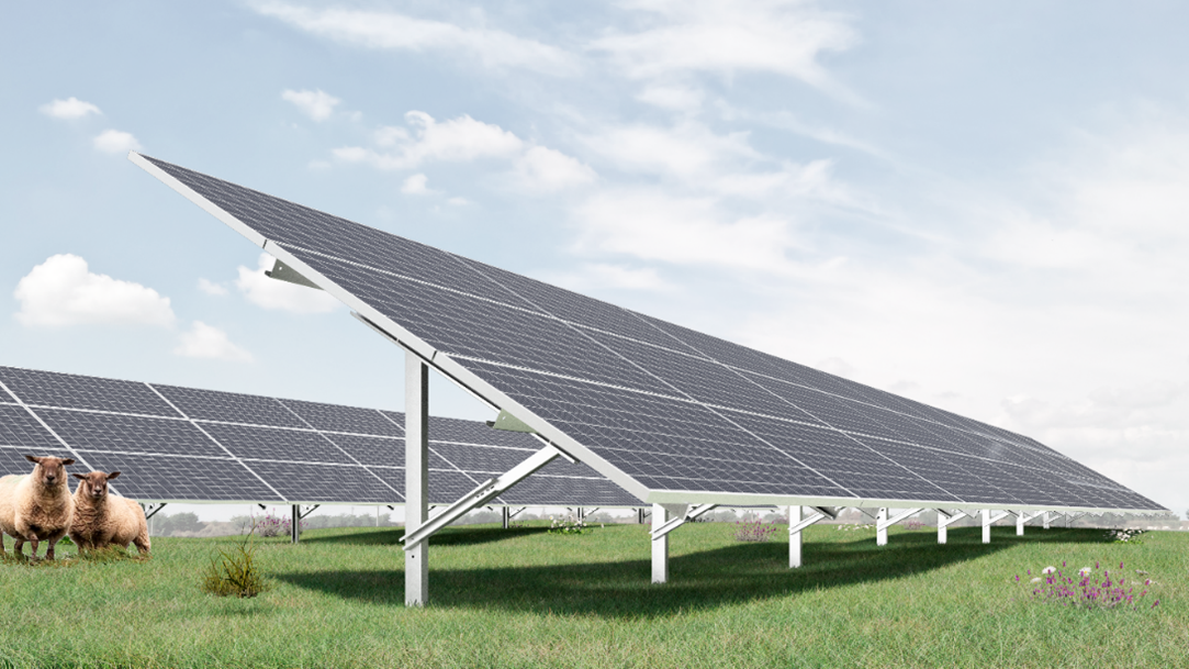Estructura de paneles solares en campo abierto con ovejas pastando
